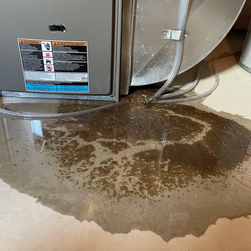 Appliance Leak Cleanup in Sulphur, LA